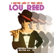 Capa do artigo I Never Said It Was Nice - Vinil