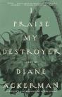 I Praise My Destroyer - Preview