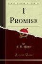 I Promise - Preview