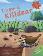 I Saw A Killdeer - Preview