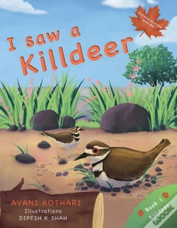 Capa do artigo I Saw A Killdeer