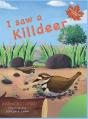 I Saw A Killdeer - Preview