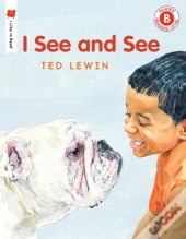 I See And See