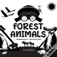 I See Forest Animals