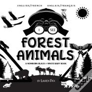 I See Forest Animals