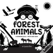 I See Forest Animals