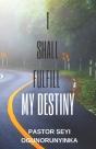 I Shall Fulfill My Divine Destiny - Preview