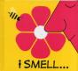 I Smell... - Preview