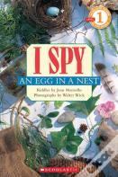 I Spy An Egg In A Nest