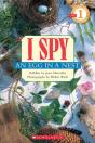 I Spy An Egg In A Nest - Preview