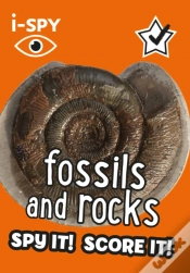 Capa do artigo I-Spy Fossils And Rocks