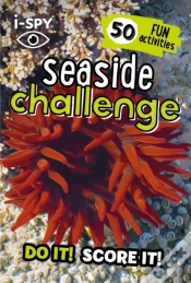 Capa do artigo I-Spy Seaside Challenge