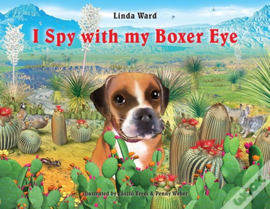 I Spy With My Boxer Eye