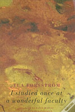 Capa do artigo I Studied Once At A Wonderful Faculty