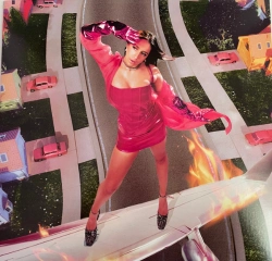 Capa do artigo I Used To Think I Could Fly - Vinil