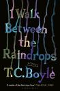 I Walk Between The Raindrops - Preview