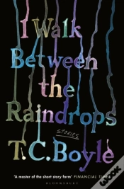 Capa do artigo I Walk Between The Raindrops