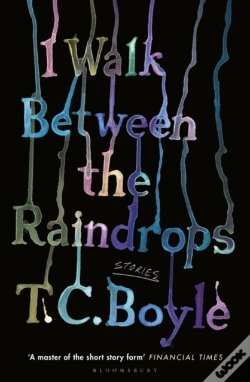 Capa do artigo I Walk Between The Raindrops
