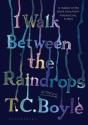 I Walk Between The Raindrops - Preview