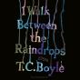 I Walk Between The Raindrops - Preview