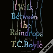 Capa do artigo I Walk Between The Raindrops
