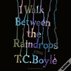 Capa do artigo I Walk Between The Raindrops