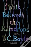 I Walk Between The Raindrops