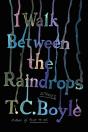 I Walk Between The Raindrops - Preview