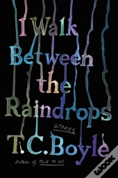 I Walk Between The Raindrops