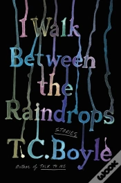 Capa do artigo I Walk Between The Raindrops