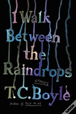 Capa do artigo I Walk Between The Raindrops