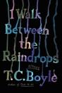 I Walk Between The Raindrops - Preview