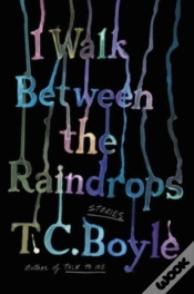 Capa do artigo I Walk Between The Raindrops