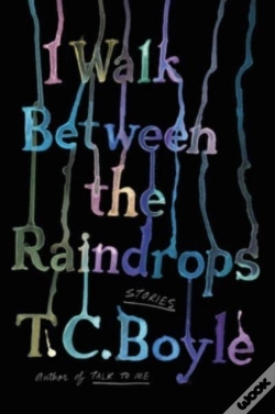 Capa do artigo I Walk Between The Raindrops