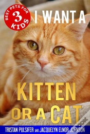 Capa do artigo I Want A Kitten Or A Cat