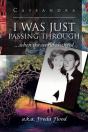 I Was Just Passing Through - Preview