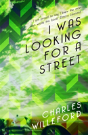 I Was Looking For A Street - Preview