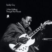 Capa do artigo I Was Walking Through the Woods - Vinil