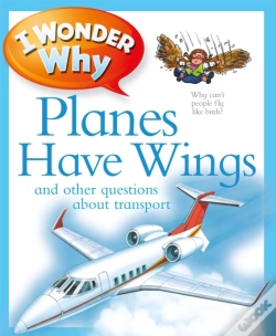 Capa do artigo I Wonder Why: Planes Have Wings