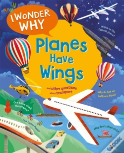 Capa do artigo I Wonder Why Planes Have Wings