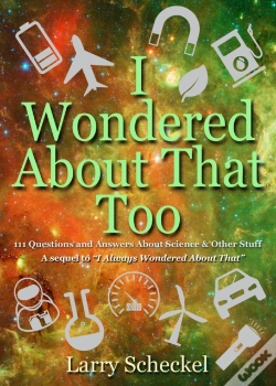 Capa do artigo I Wondered About That Too
