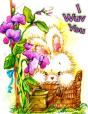 I Wuv You: Discreet Internet Website Pas - Preview