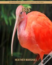 Ibis