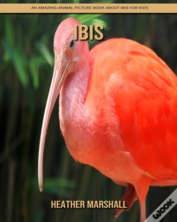 Capa do artigo Ibis