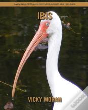 Ibis