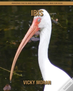 Capa do artigo Ibis