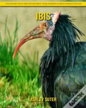 Ibis