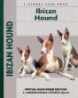 Ibizan Hound - Preview