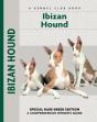 Ibizan Hound - Preview