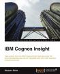 Ibm Cognos Insight - Preview